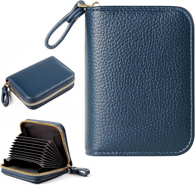 EcoVision Credit Card Holder RFID Card Case Wallet, Small Accordion Zipper Card Case Holder, Card Organizer Case for Women Men