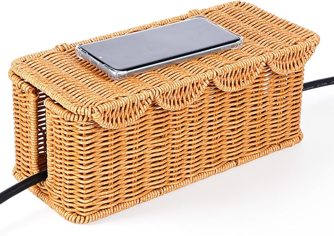 Large Rattan Cable Management Box, Handwoven Cord Hider Box with Lid, 2-Slot Under Desk Organizer for Power Strip, TV Wires, Computer Router & USB Hub, 11.8" x 5.1" x 5.1"