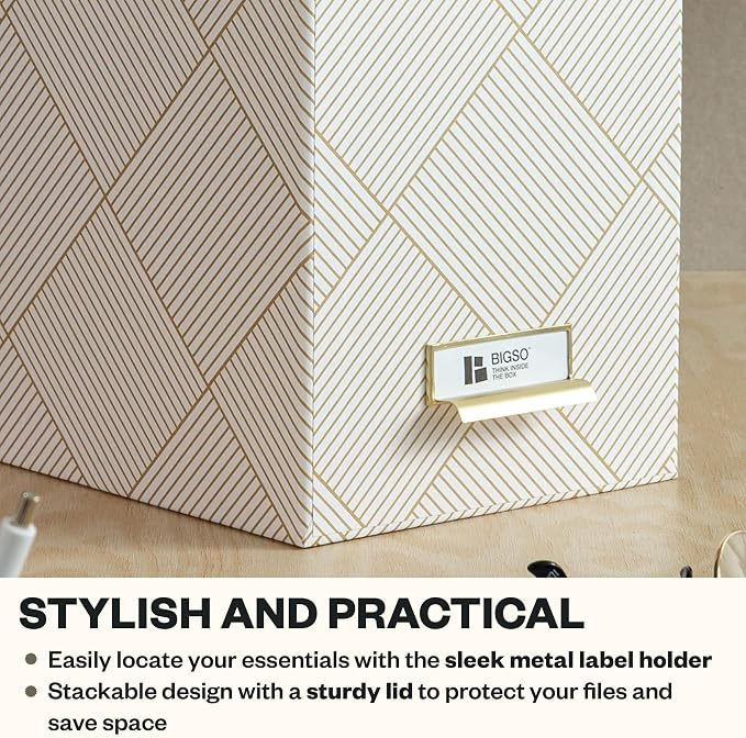 Bigso John Fiberboard Label Frame Desktop File Storage Box - Document Organizer for Important Paperwork - Durable Hanging File Box with Lid & Metal Label Window - 7.36 x 13.38 x 10.51in - Gold Squares