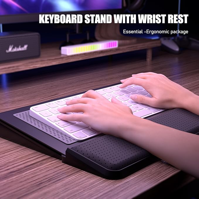 Computer Keyboard Stand with Wrist Rest & Storage Tray - Acrylic Keyboard Riser for Office Desk Accessories Decor, Ergonomic Keyboard Holder for Home Comfortable Typing - Fits All Keyboard Sizes