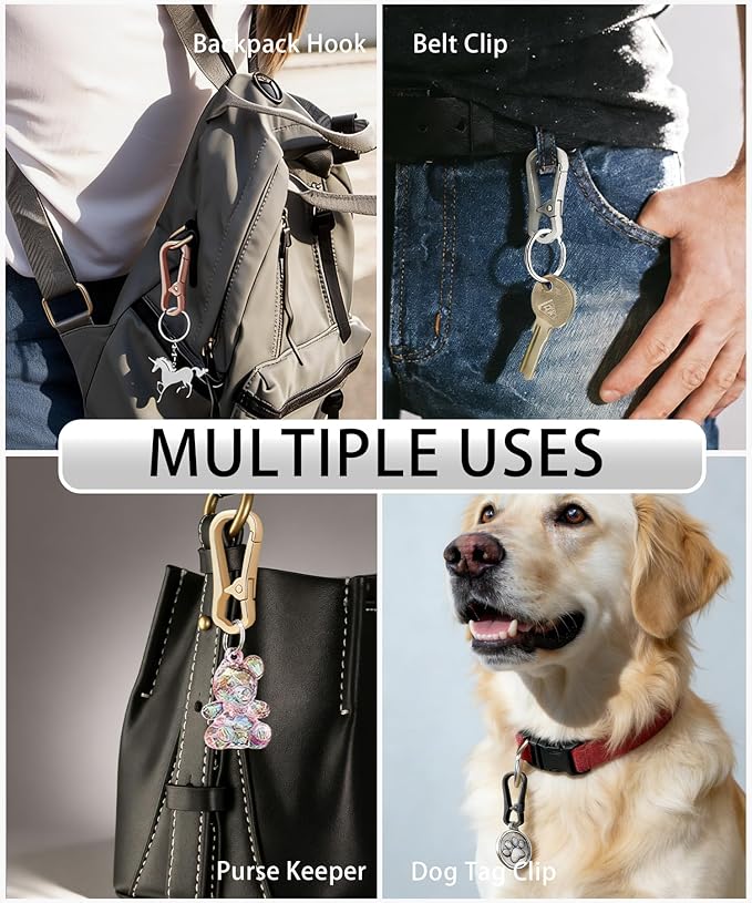 Metal Keychain Clip with Key Rings and D Ring, Heavy Duty Carabiner Key Chain Hook Holder for Car Home Keys