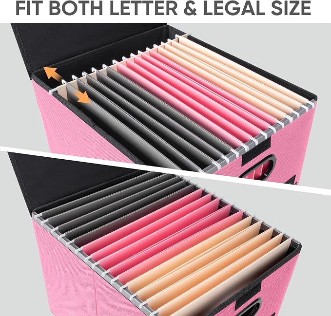 BALEINE File Organizer Box with Lid, Collapsible File Folder Organizer with Plastic Slide, Hanging File Folder Box for Office Document Storage (1 Pack, Pink)