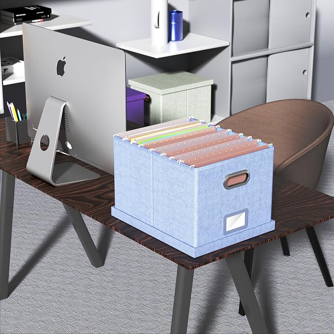 Oterri 2 Pack File Storage Organizer, Filing Box, Portable File Box with Lid, Fit for Letter/Legal File Folder Storage, Document Organizer, Sky-blue