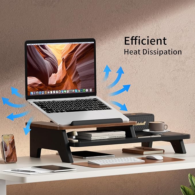 Adjustable Laptop Stand 2-Tier Riser Holder,Ventilated Cooling Ergonomic Computer Desk Organizer Accessories for 10-15.6" Notebook,Desktop Storage Compatible with MacBook,Dell,HP,Lenovo