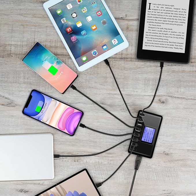 60W 12A 8-Port USB Charging Station - Multi Port USB Hub Charger - Compact Size LCD Display - Compatible with iPhone iPad Samsung Kindle Tablet Bluetooth Earbuds and More